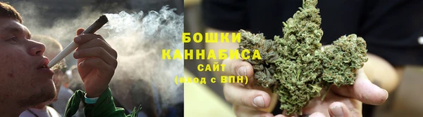 прущие грибы Липки