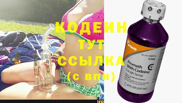 прущие грибы Липки