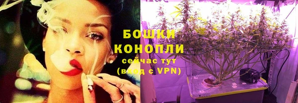 прущие грибы Липки