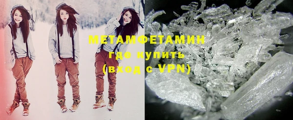 прущие грибы Липки