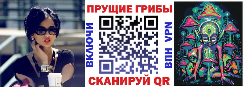 Галлюциногенные грибы GOLDEN TEACHER  Ленинградская 